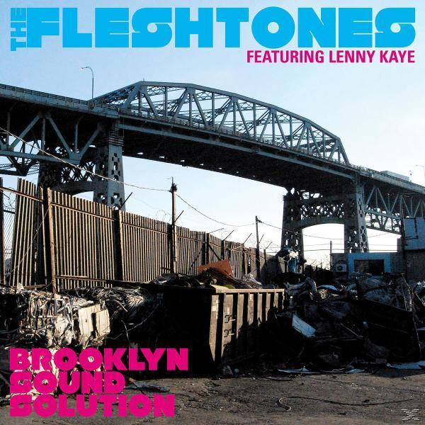 (Vinyl) - - The Fleshtones Brooklyn Solution Sound