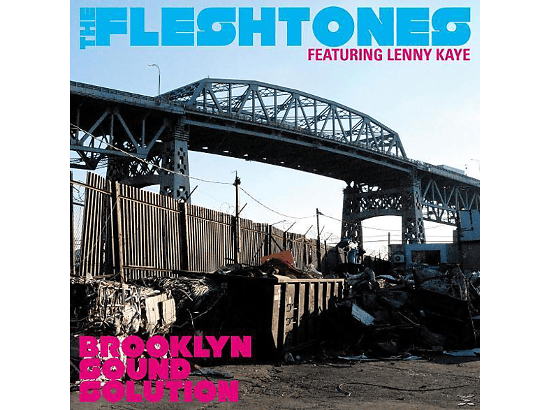 The Fleshtones - Brooklyn Sound Solution  - (Vinyl)