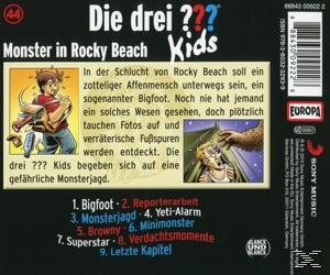 Rückseite einer CD. Text und Zeichnungen über eine Geschichte namens Monster in Rocky Beach.