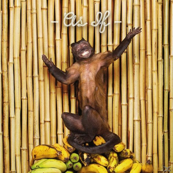 !!! (chk Chk Chk) - As If  - (CD)