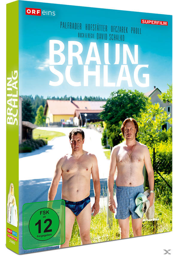 DVD-Cover mit zwei Männern ohne Hemd. Titel 'Braun Schlag'. Grüner Rand, blauer Himmelhintergrund mit Häusern.