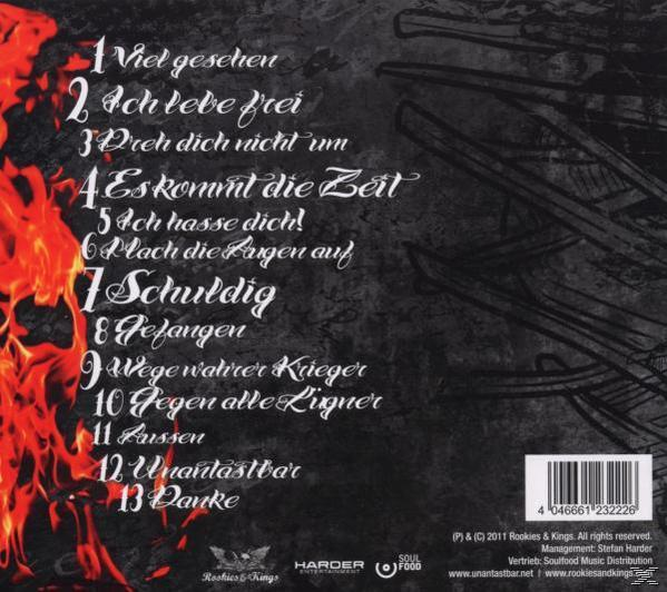 Albumcover mit feurigem Hintergrund und Text auf Deutsch sowie einigen grafischen Elementen.