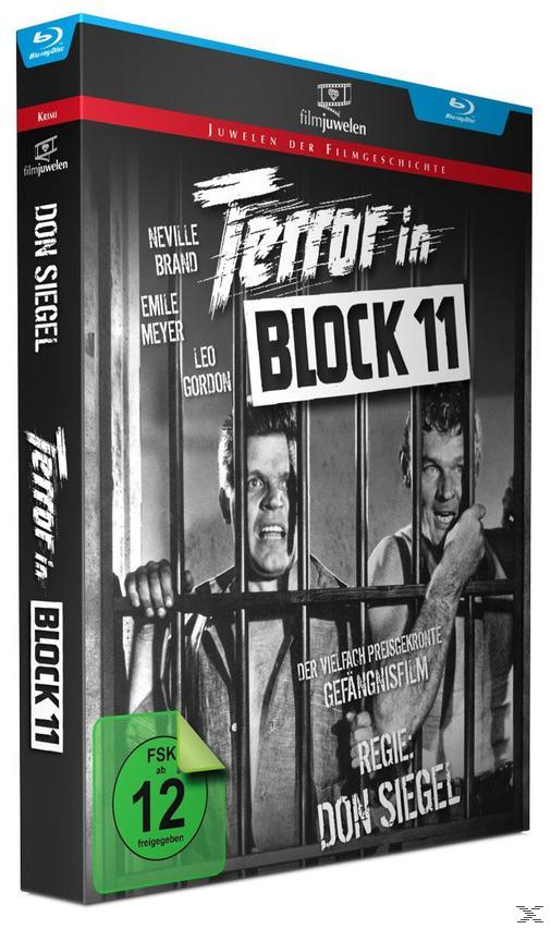 DVD-Hülle. Zwei Männer hinter Gittern, Schwarzweißfoto. Titel: 'Terror in Block 11'.