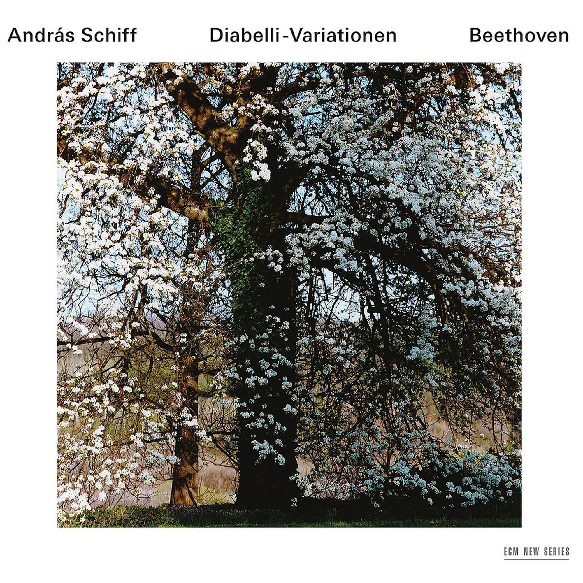 Albumcover. Ein großer Baum mit weißen Blüten dominiert, ein dunkler Stamm mit grünen Ranken. Text oben: András Schiff, Diabelli-Variationen, Beethoven.
