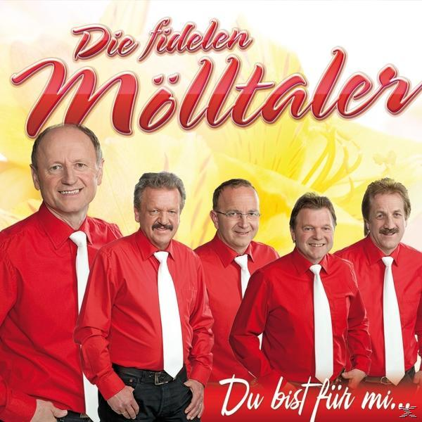 Die Fidelen Mölltaler - Du (CD) Mi... Für - Bist