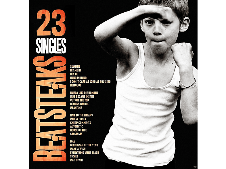 Beatsteaks - 23 Singles  - (Vinyl)