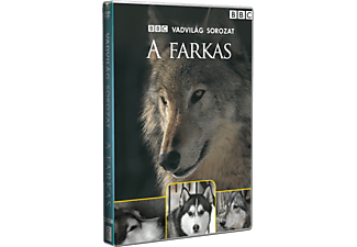 Vadvilág Sorozat - A Farkas (DVD)