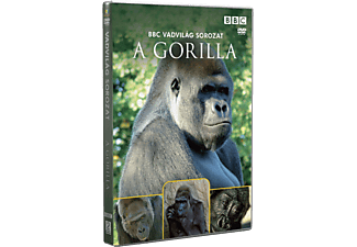 Vadvilág Sorozat - A Gorilla (DVD)