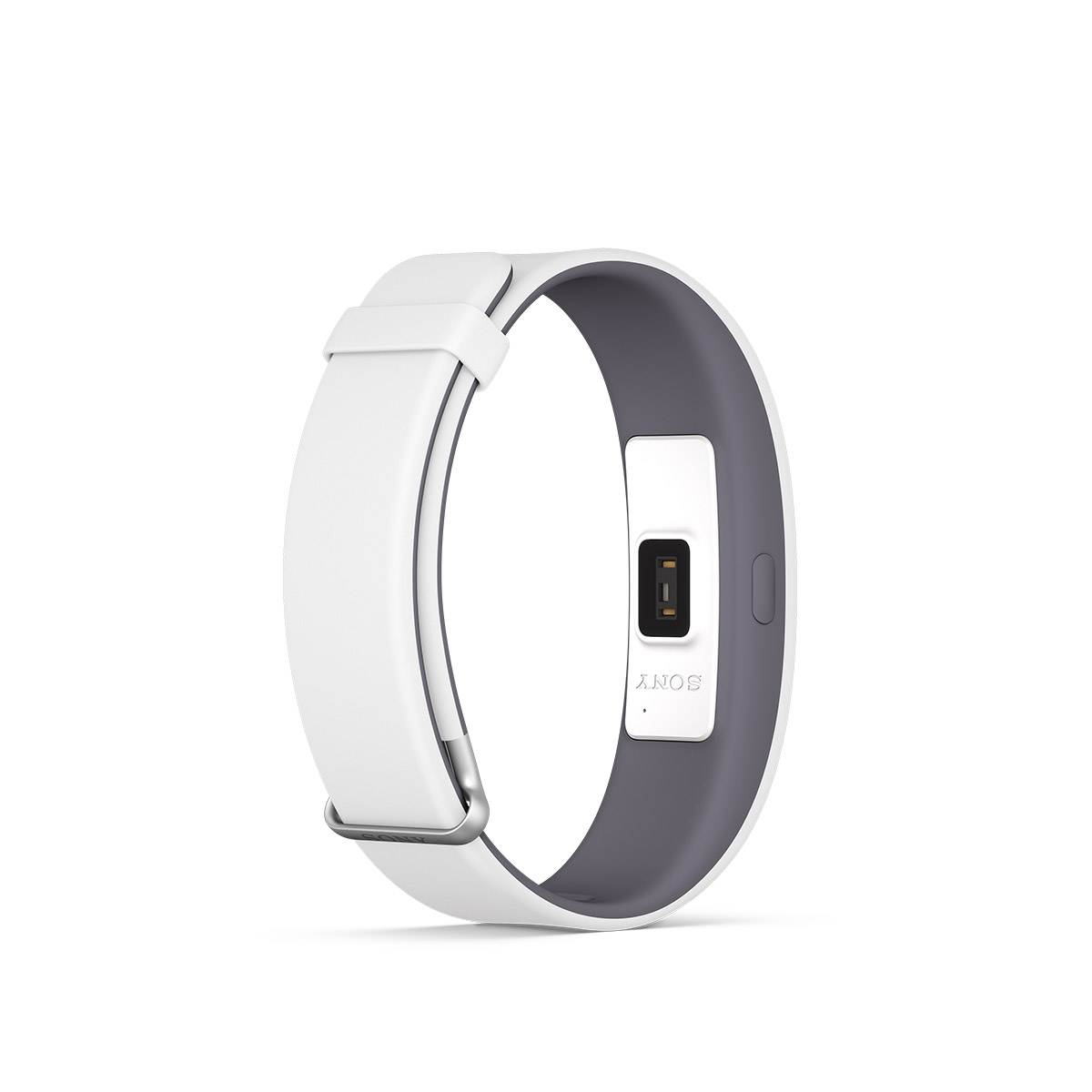 SONY SmartBand 2 SWR12, Fitness Tracker, 250 mm, Weiß