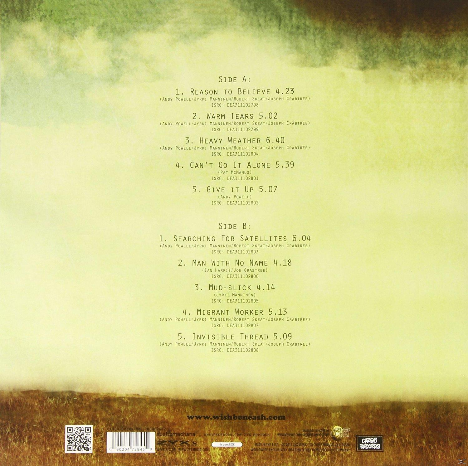 Album-Rückseite mit Songliste, grüner Hintergrund und Textur.