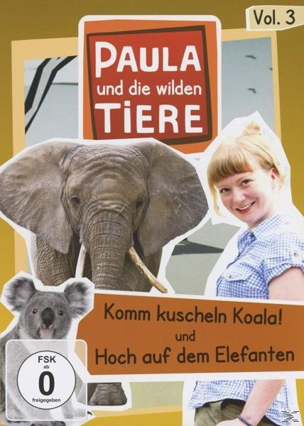 Vol.3: Komm Kuscheln Koala!/Hoch Auf Dem Elefan DVD