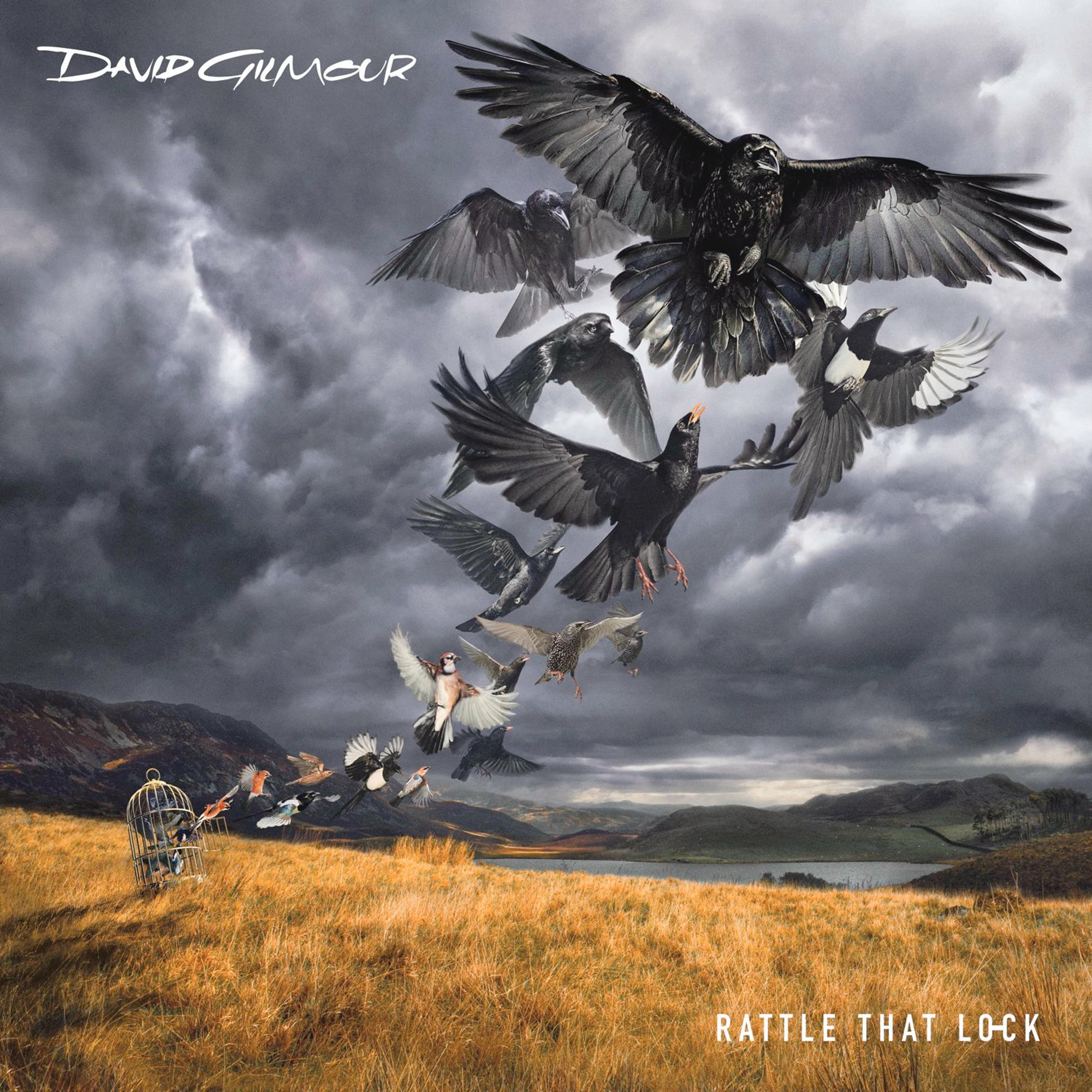 Albumcover mit Vögeln, die aus einem Käfig fliegen. Hügelige Landschaft und bewölkter Himmel. David Gilmour.
