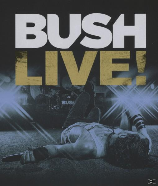 Das Cover eines Bush-Live-Albums. Der Bandname steht über einem Bild des Sängers der Band, der am Boden liegt.