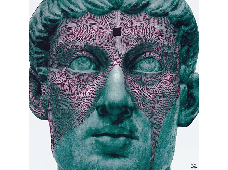 Protomartyr - The Agent Intellect (CD) 