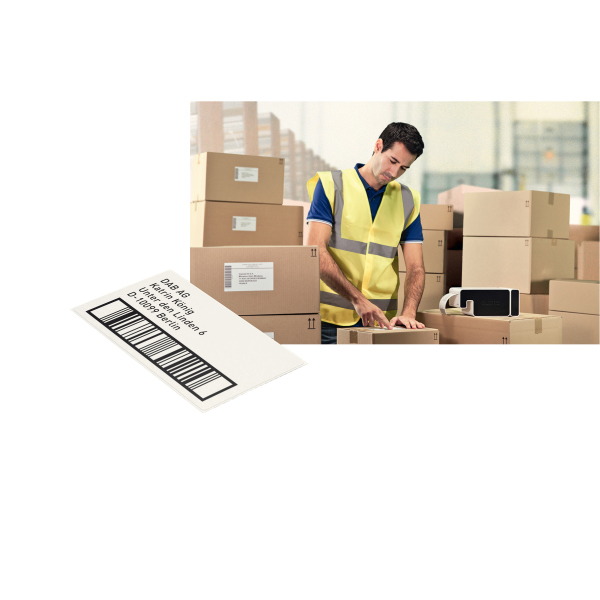 LEITZ Icon intelligente Format-Etiketten 50 x 88 mm  Etikettenkartusche Weiß