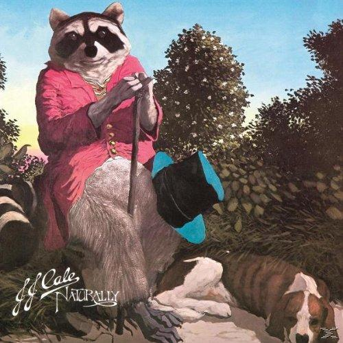 Waschbär mit rosa Jacke, Hut und Stock, mit Hunden und Waldboden.