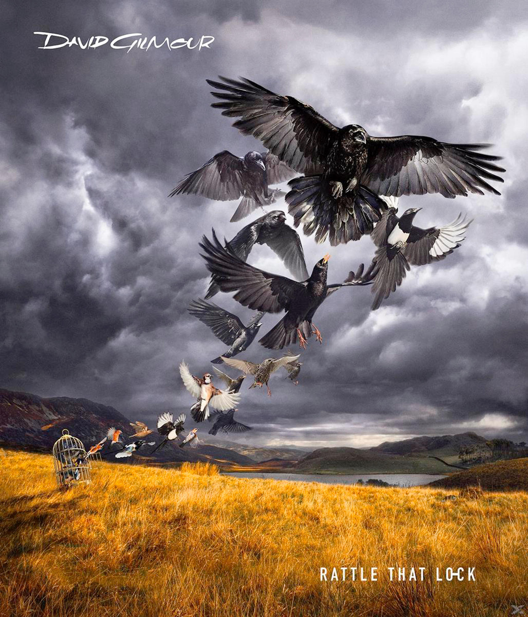 Album borító: Madarak repülnek egy mező felett, ketreccel, 'Rattle That Lock' szöveggel és David Gilmour.