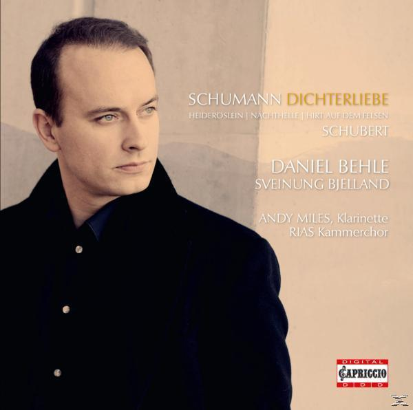 Albumcover mit einem Mann und Text über deutsche Lieder.