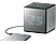 SONY Radio-réveil portable DAB+ Noir (XDRC1DBP.CED)