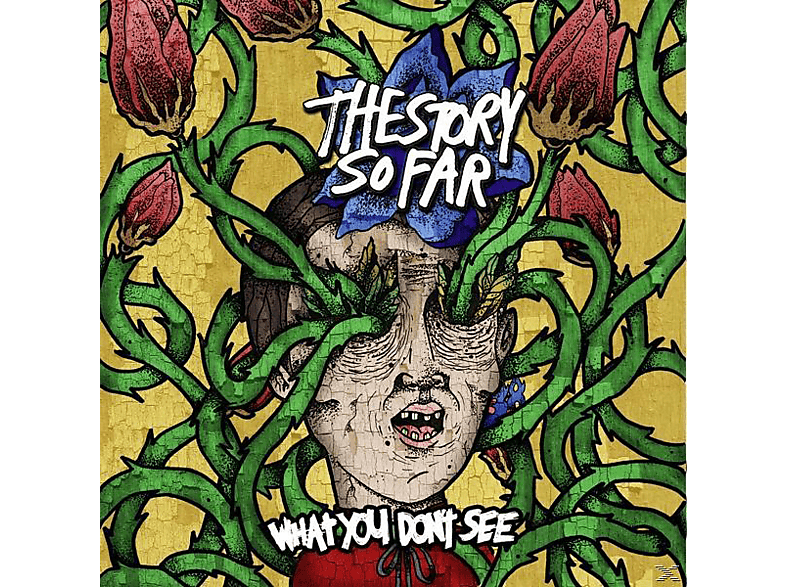Dont - See Story What Far (Vinyl) - So You