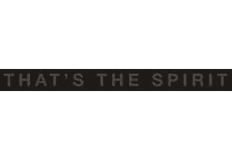 Bring Me The Horizon - That's The Spirit (Digipak) (CD)