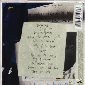 The Libertines - Anthems for doomed youth   - (CD)