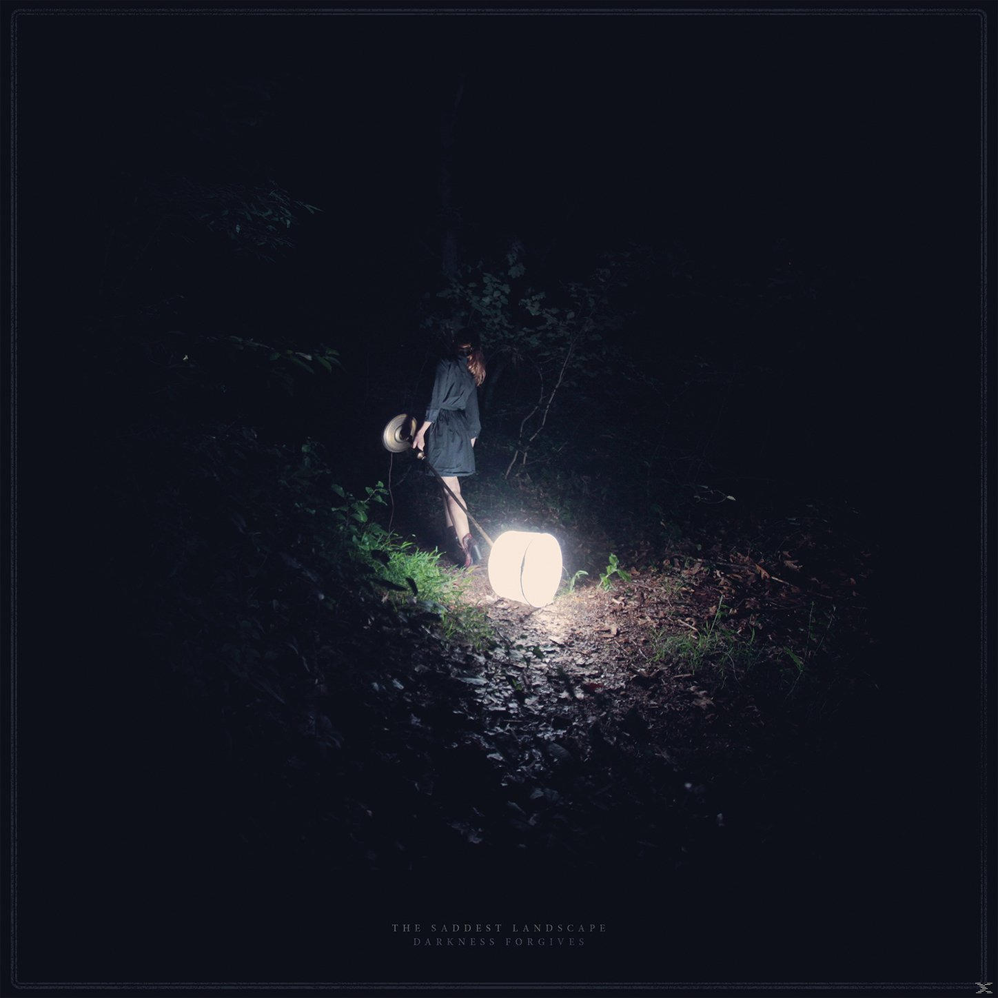 The Saddest Landscape Forgives - (CD) - Darkness