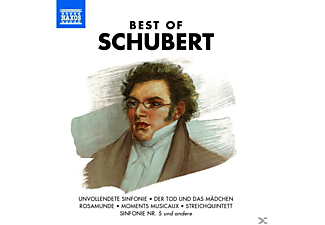 VARIOUS - Best Of Schubert  - (CD)
