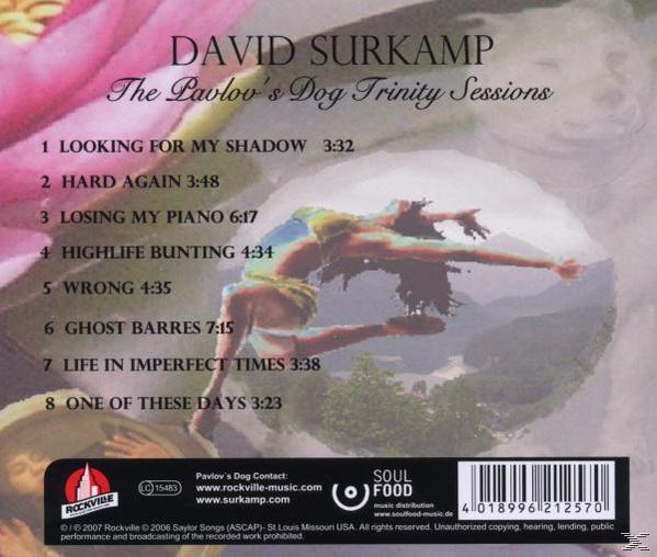 - THE Surkamp ON - David A (CD) TEACUP EDGE OF DANCING