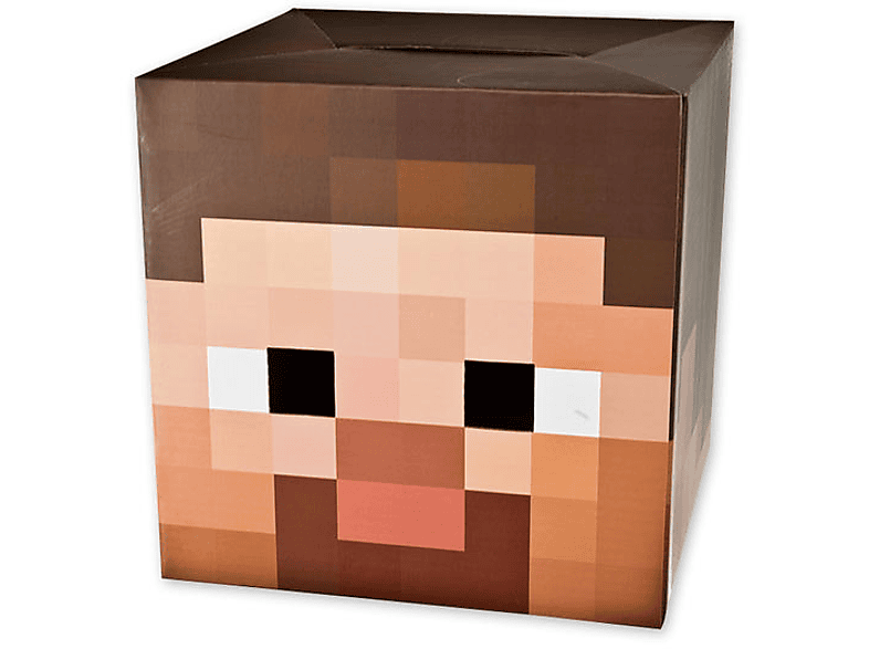 Minecraft Steve Kopf CLOSE UP MediaMarkt