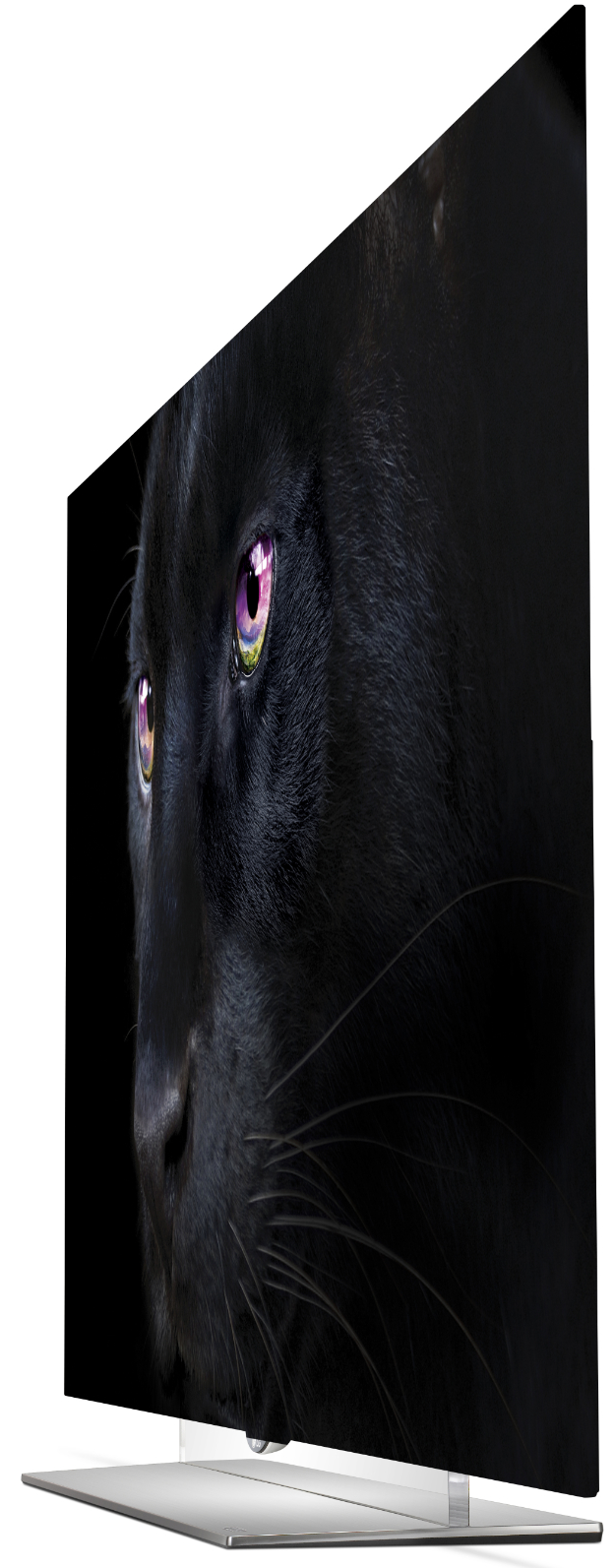 LG ELECTRONICS Fernseher 65 EF 950V OLED UHD 4K 3D TV