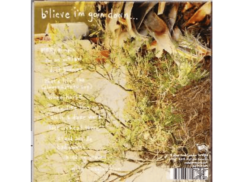 Thumbnail - Kurt Vile - B'lieve I'm Going Down... (CD)