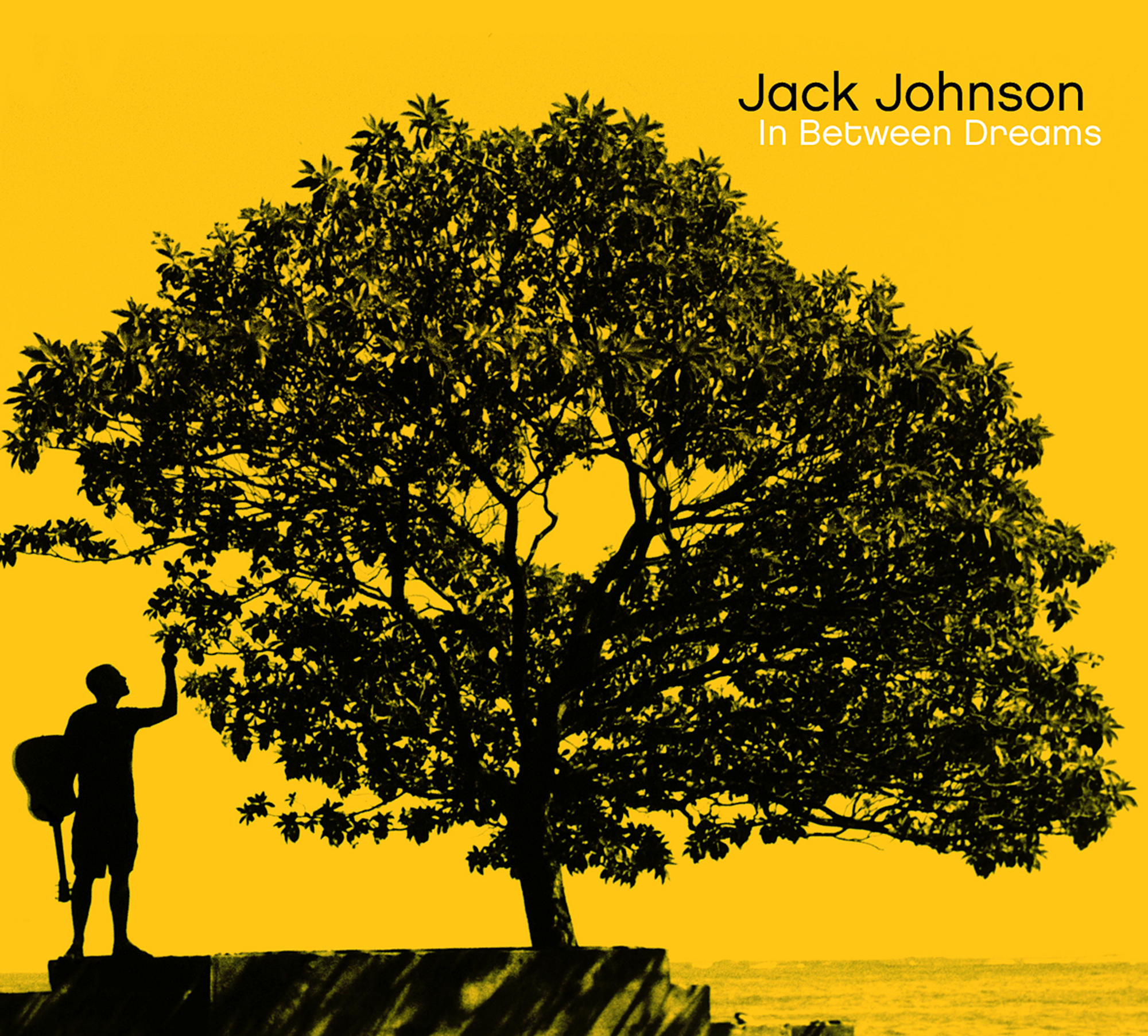 Albumcover. Silhouette eines Mannes mit Gitarre, großer Baum und gelber Hintergrund.