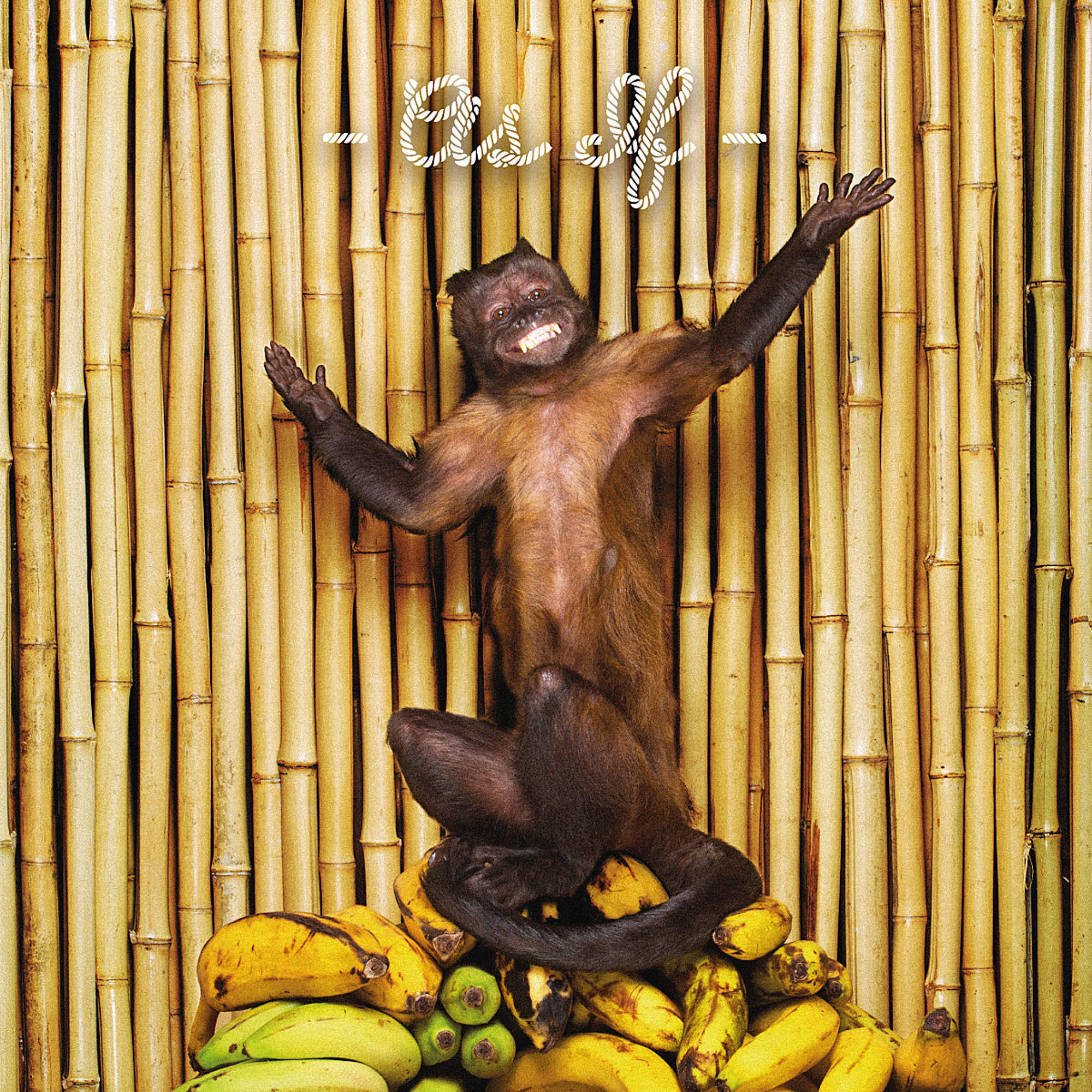 !!! (chk Chk Chk) - As If  - (CD)