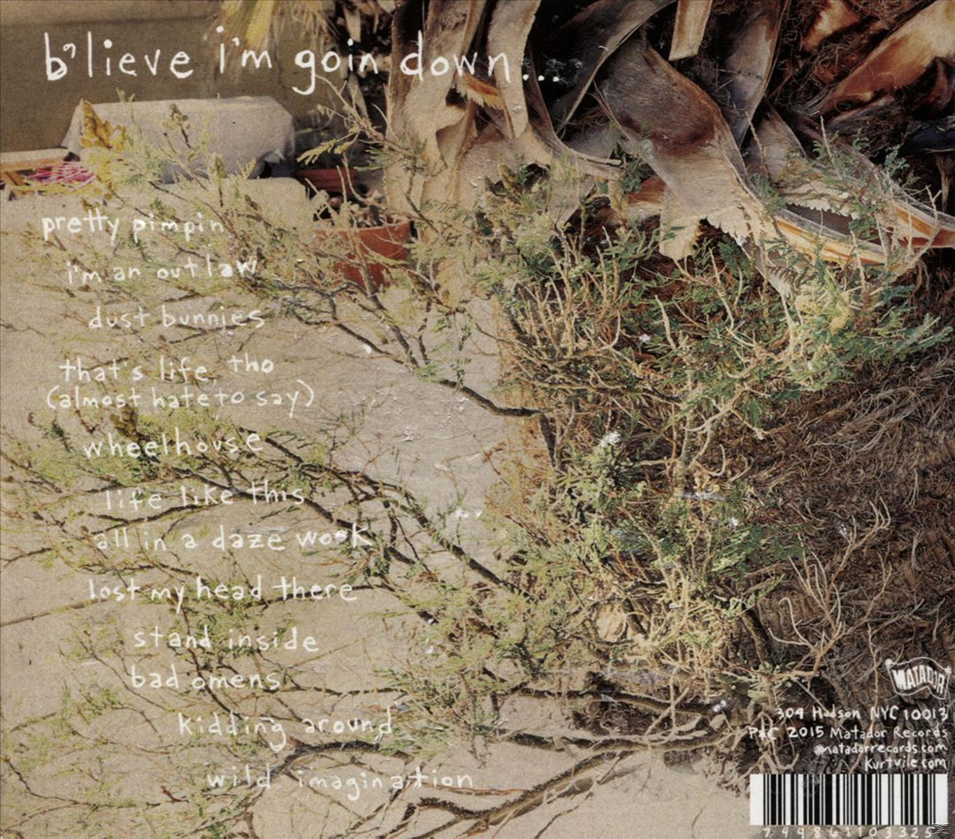 Albumcover mit Text und einem Hintergrund aus Wildpflanzen und einer Wüstenlandschaft.