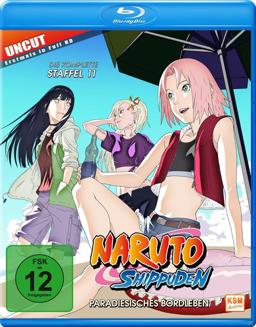 Anime-DVD-Cover: Naruto-Charaktere am Strand. Titel: Naruto Shippuden. FSK 12 Bewertung.