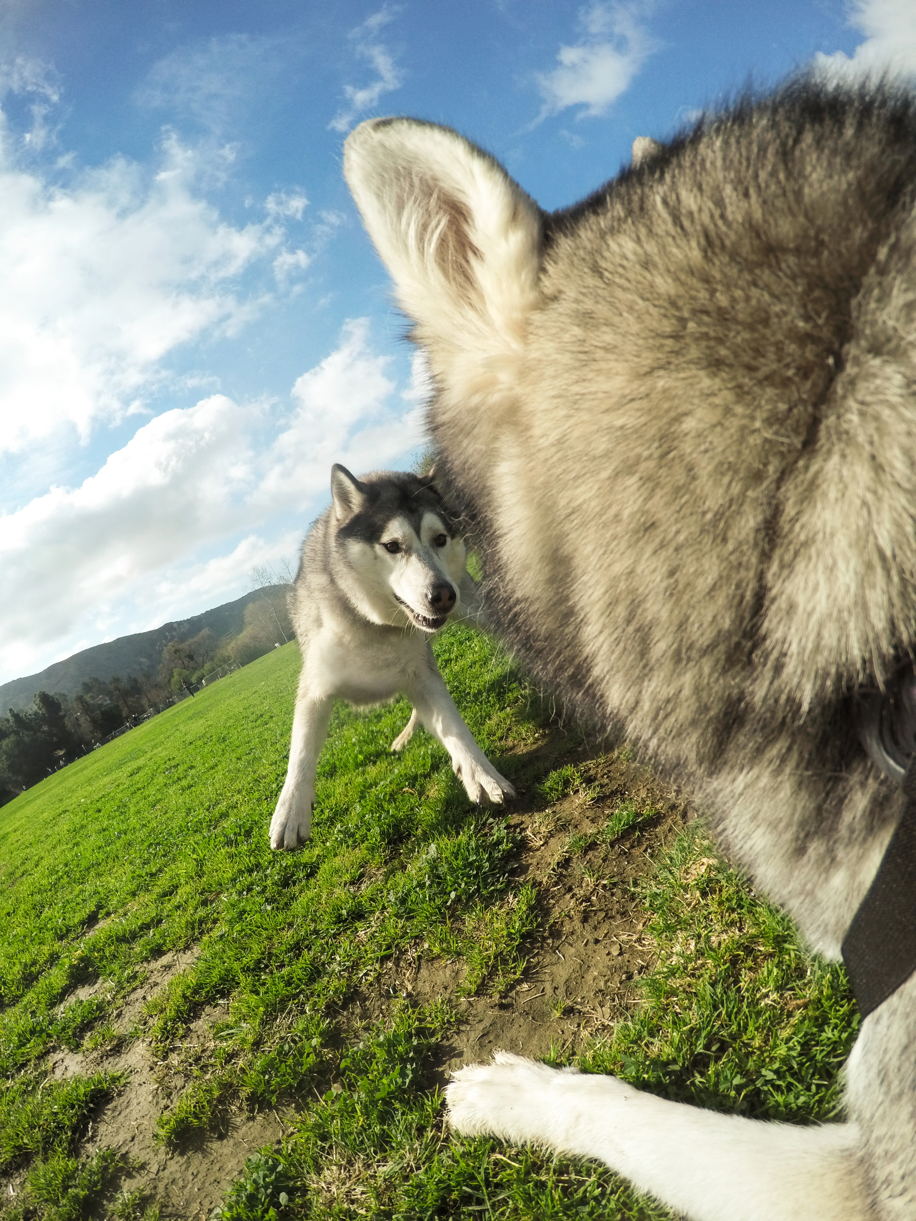 GOPRO Hero Actioncam 