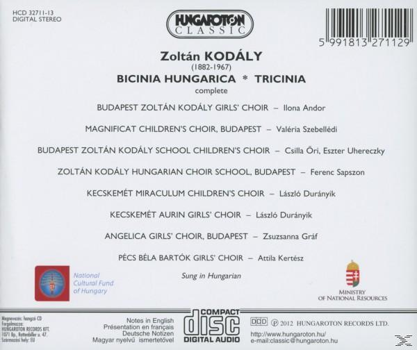 Album borító magyar nyelvű szöveggel. A cím: 'Bicinia Hungarica * Tricinia complete'.