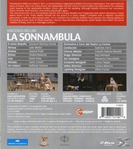 DVD-Rückseite. Text auf der linken Seite und ein paar kleine Bilder eines Theaterstücks.