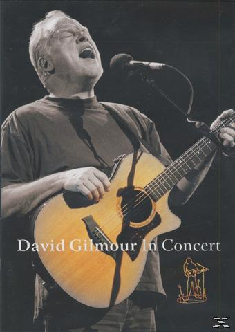 David Gilmour énekel és gitározik a színpadon mikrofonnal és reflektorral.