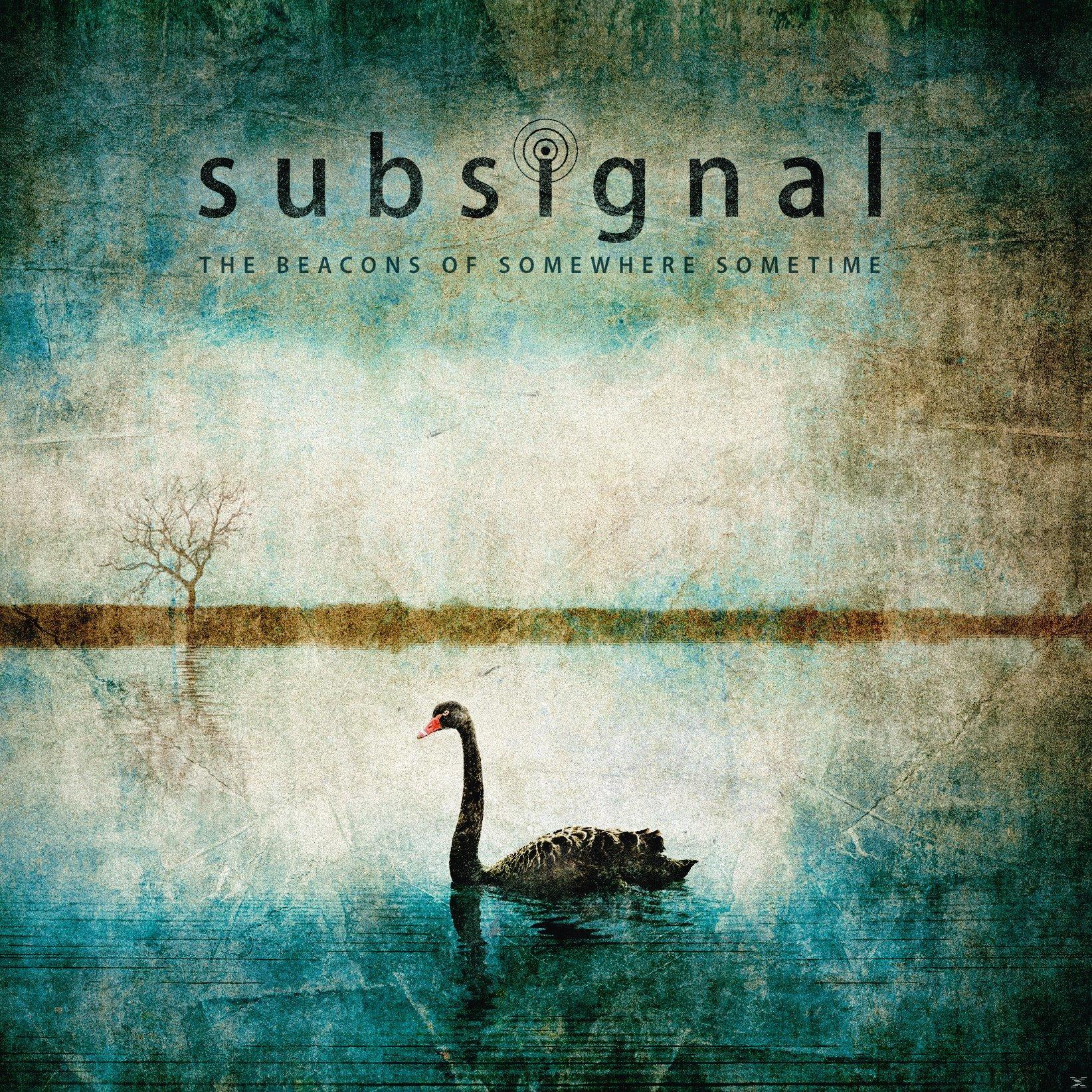 Albumcover mit einem Schwan auf einem See. Titel: subsignal.