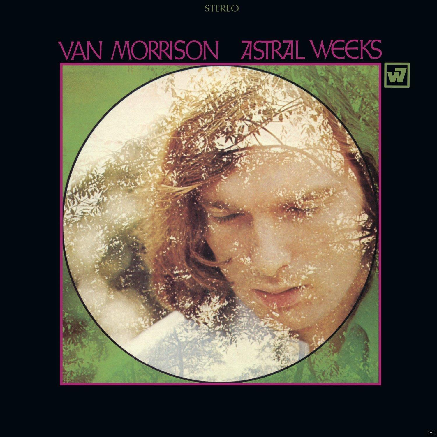 Albumcover mit einem Mannsgesicht in einem grünen Kreis, mit einem verschwommenen Ast-Overlay.