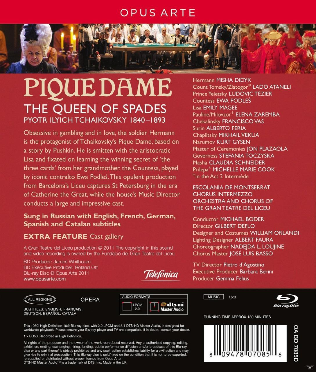 (Blu-ray) Pique - VARIOUS Dame -