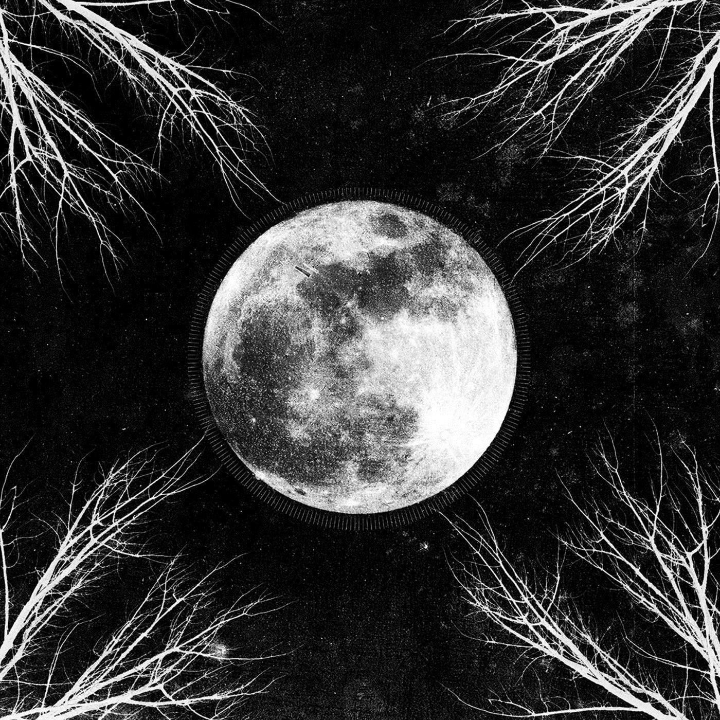 Moon Pale - (Vinyl) Corpus Christii -
