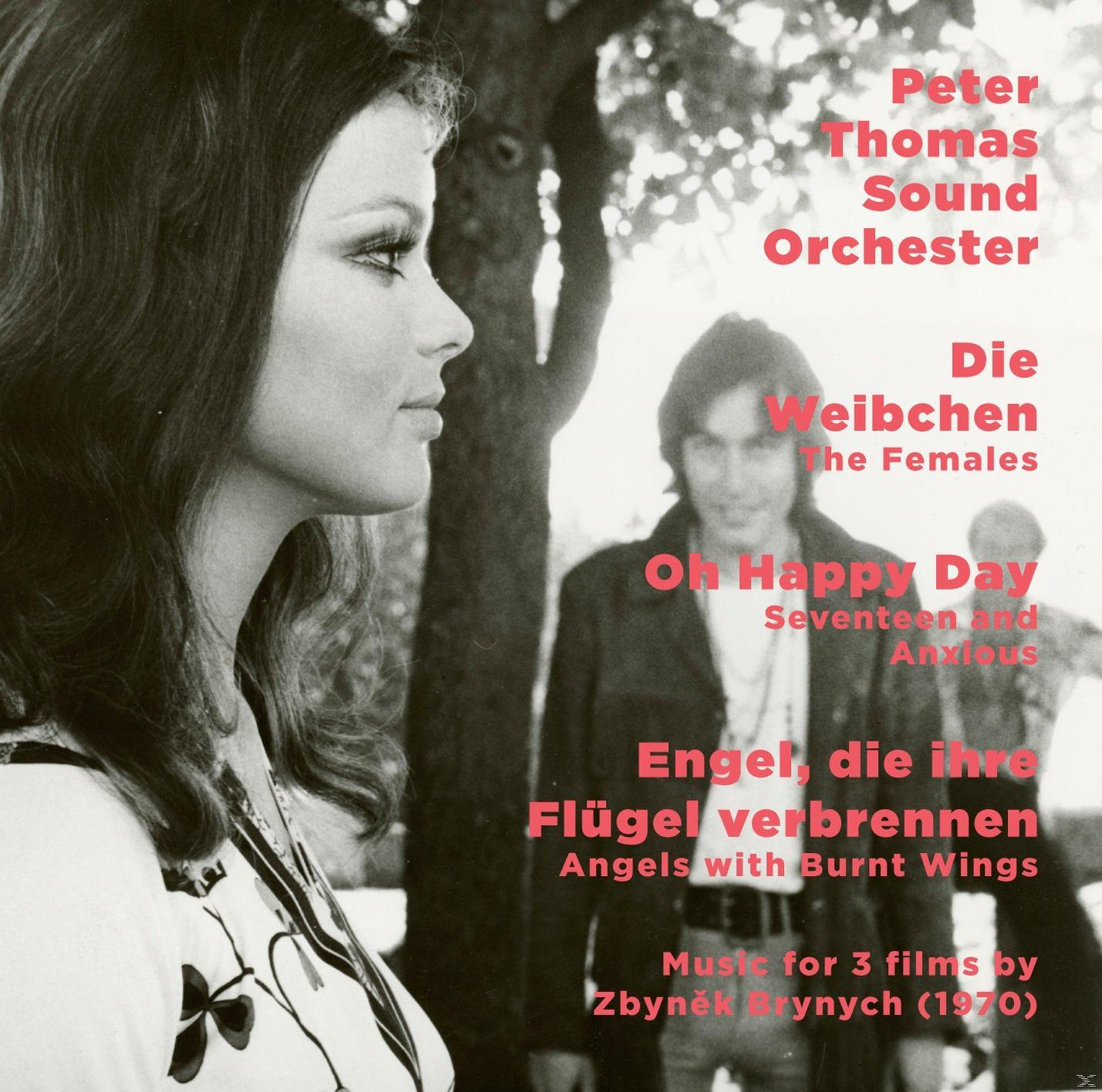 Peter Thomas Sound Flügel - Happy Die Weibchen/O (CD) - Orchester Day/Engel, Verbrennen Ihre Die