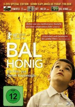 DVD Bal - Honey