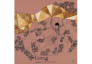 Tunng - Comments Of The Inner Chorus  - (CD)
