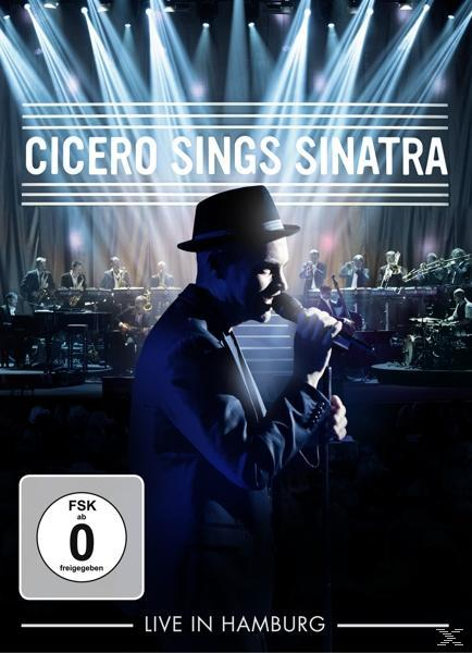 Cicero singt Sinatra live auf der Bühne. Eine Band ist im Hintergrund, zusammen mit Bühnenlichtern.