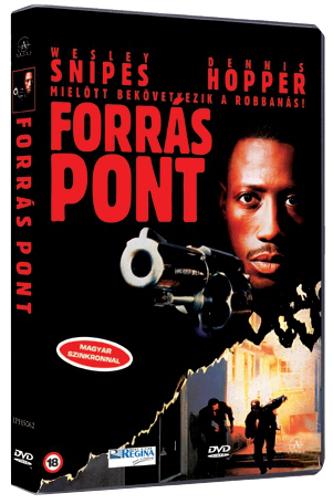 Forráspont (DVD)