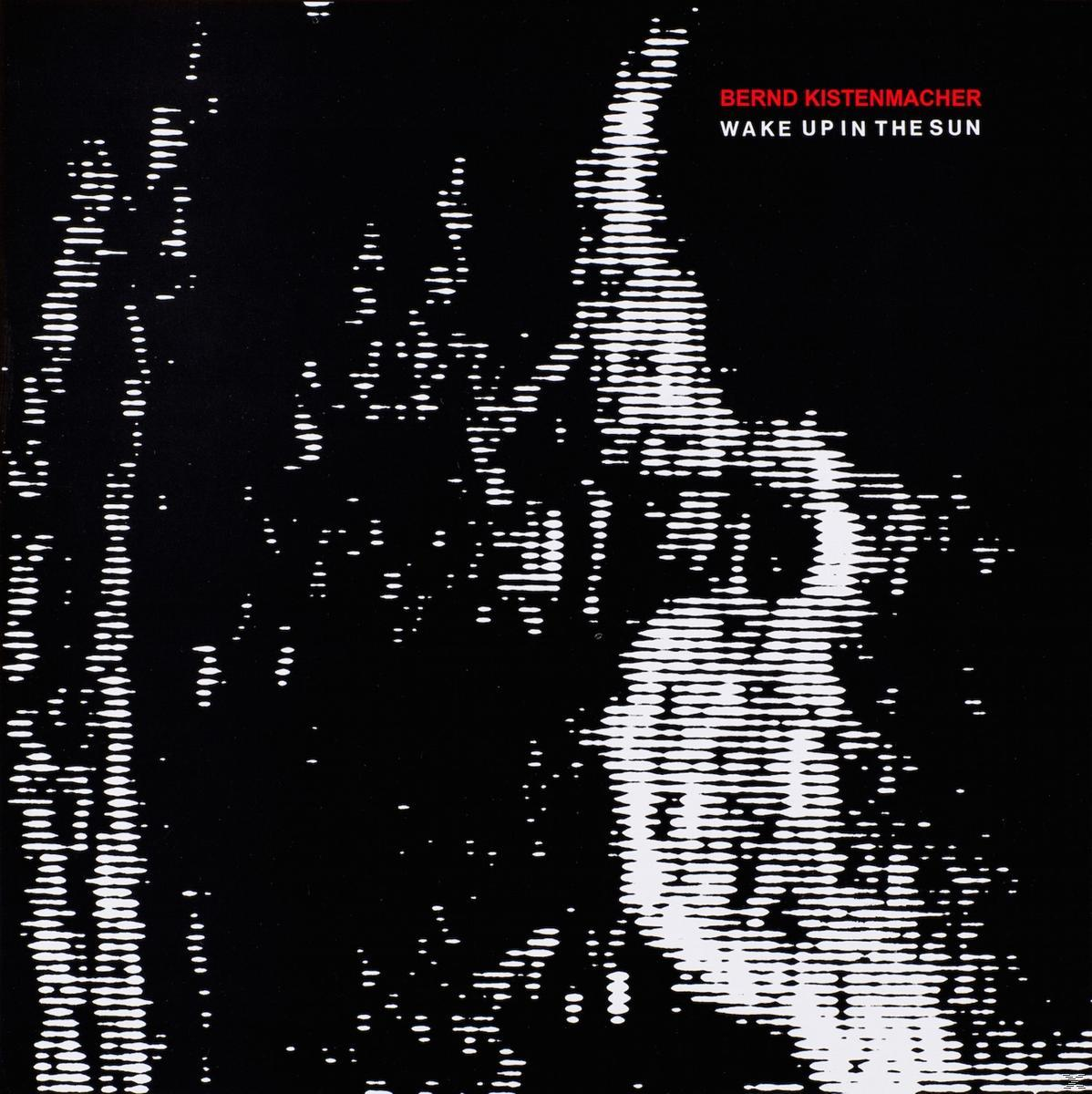 Albumcover mit einem Schwarz-Weiß-Bild von abstrakten Linien. Text 'Wake Up In The Sun'.